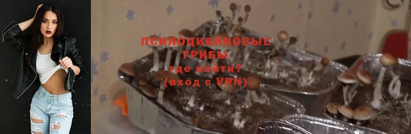 мдпв Пролетарск
